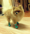 Dog Australia Boots